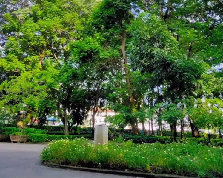 Khu vui chơi trẻ em tại Công viên Phú Lâm Quận 6 với nhiều trò chơi hấp dẫn