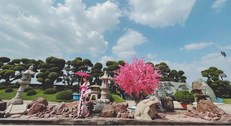 Khu vườn Nhật Bản tại Công viên Cá Koi Rin Rin Park với lồng đèn trang trí