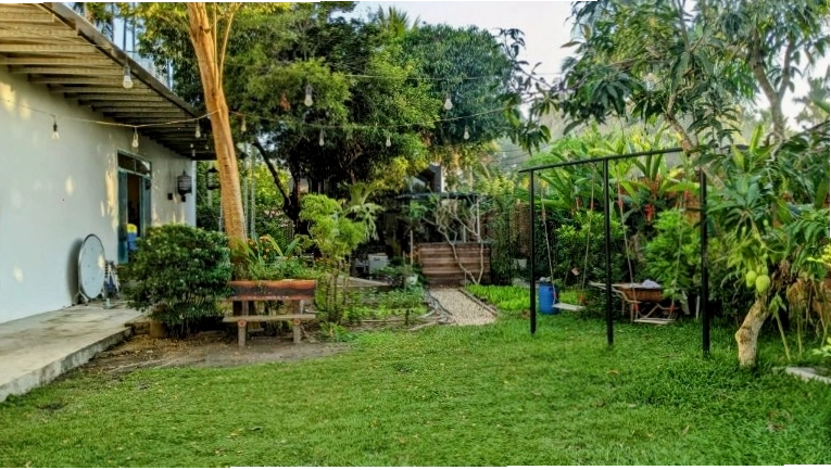 Khu vườn trồng rau và cây trái tại homestay