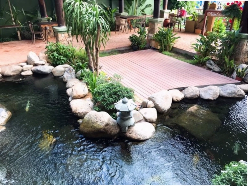 Khu vườn xanh mát với đàn cá Koi tại Mộc Homestay