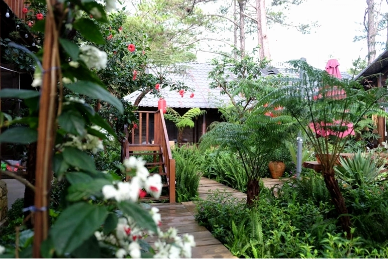 Khu vườn xanh mướt tại Alba-ra Homestay Măng Đen