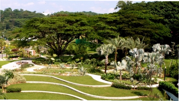 Khu vườn xanh mướt tại Công viên Hort Singapore