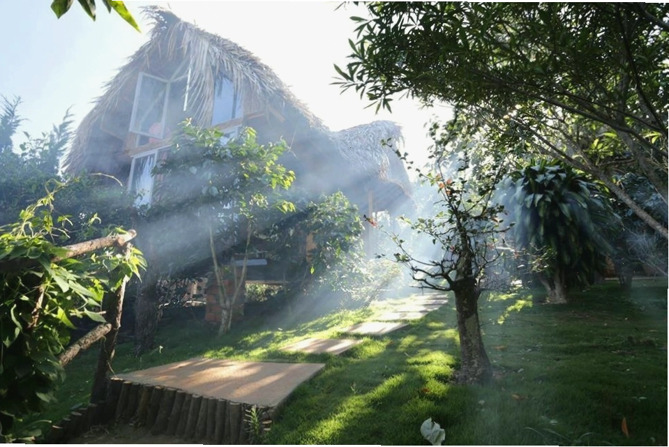 Khu vườn xanh mướt tại Củi Homestay Đà Lạt