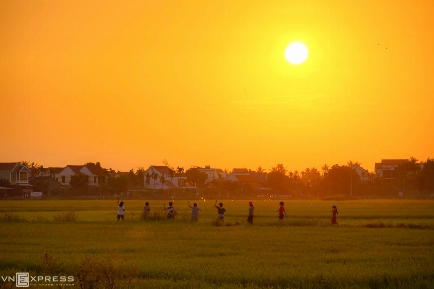 Khu vườn xanh mướt tại làng rau Trà Quế