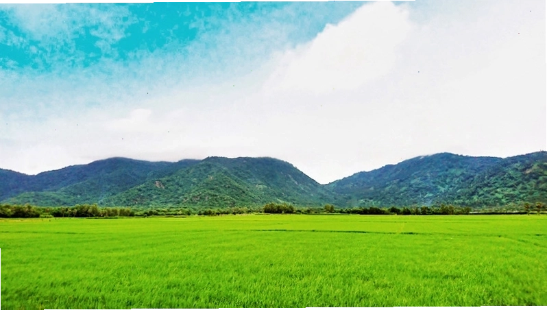 Khung cảnh làng quê An Giang