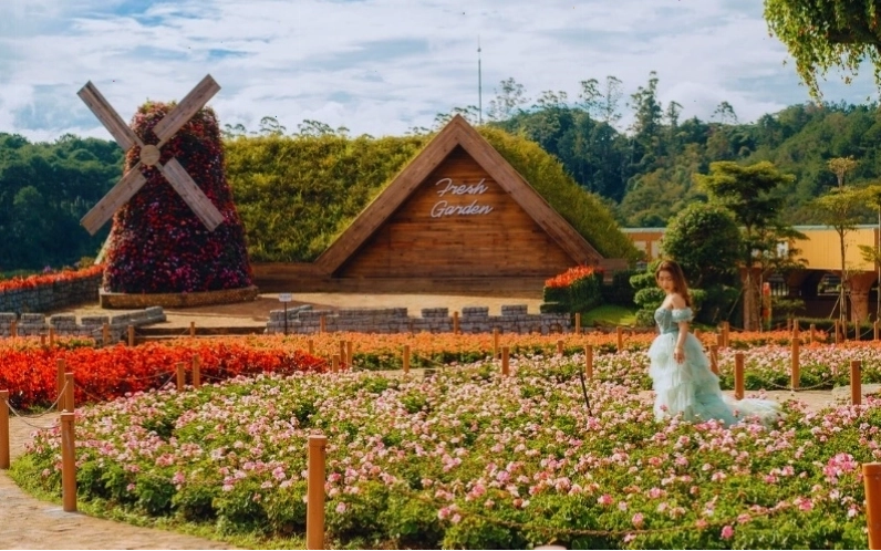Khung cảnh xanh mướt tại Đồi Chè Cầu Đất