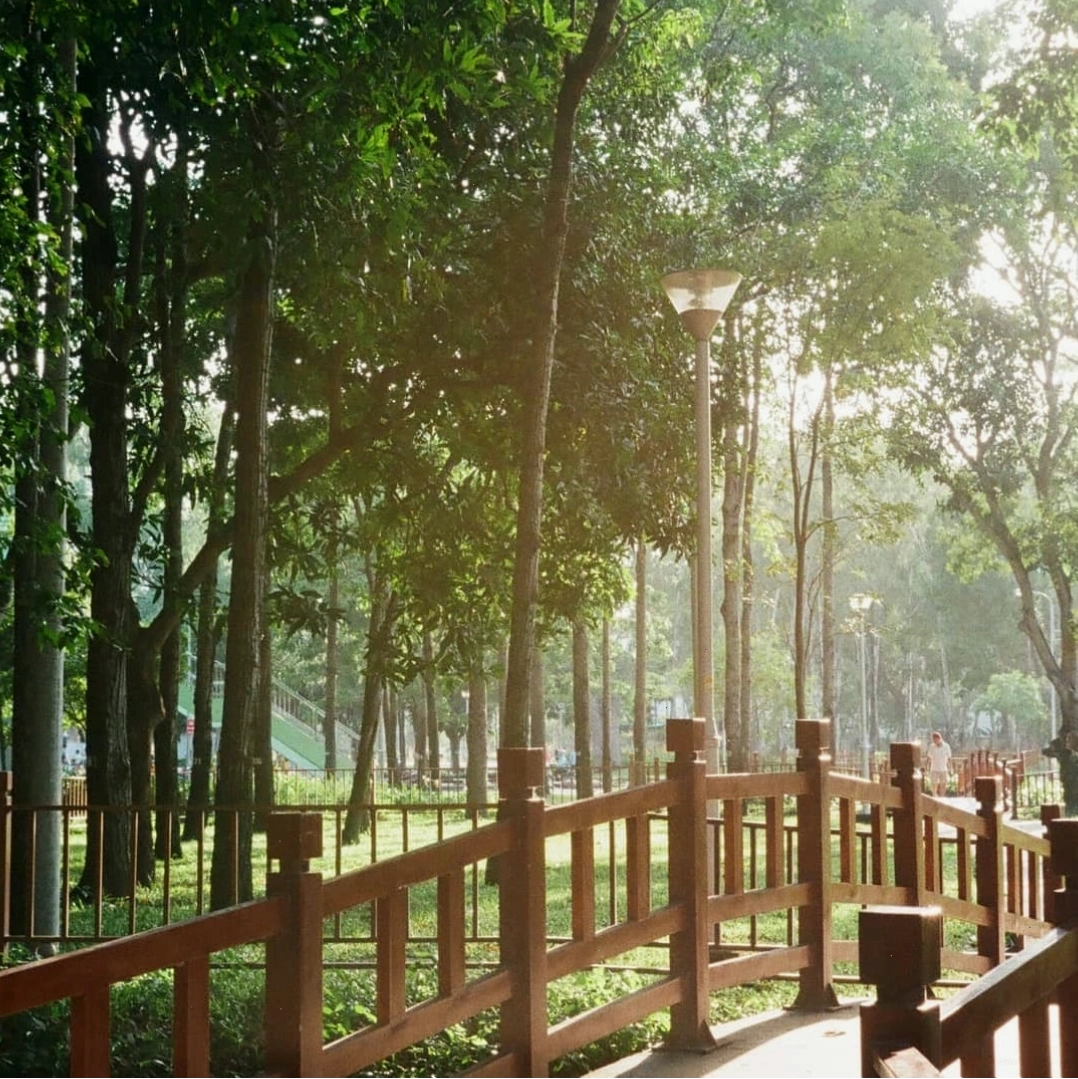 Khung cảnh xanh mướt tạo cảm giác thư thái tại Công viên Gia Định