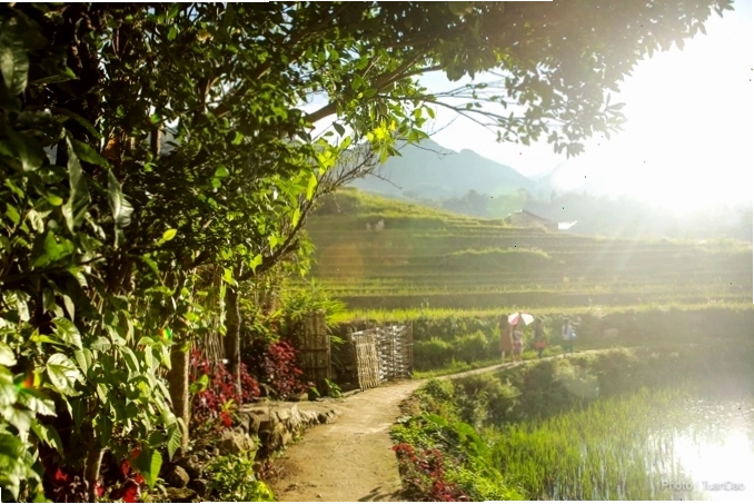 Khung cảnh yên bình tại bản Tả Van