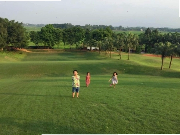 Khuôn viên xanh mát và các trò chơi tại Thảo Viên Resort