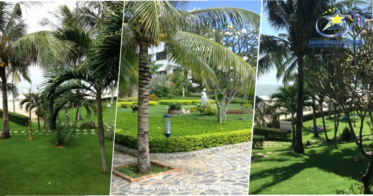 Khuôn viên xanh mát và thoáng đãng tại Lotus Village Resort Mũi Né