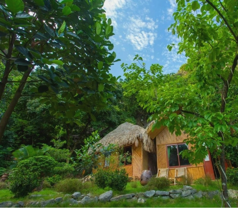 Khuôn viên xanh mướt bao quanh Green Mountain Homestay