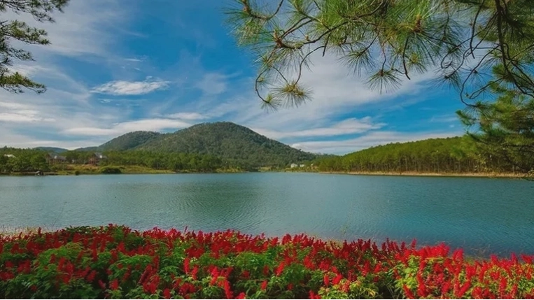 Khuôn viên xanh mướt với hoa và cây cỏ tại Terracotta Hotel & Resort Dalat