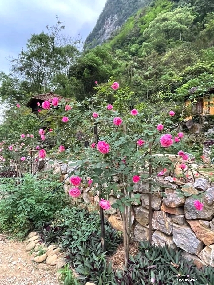Khuôn viên xinh đẹp và rộng rãi của Mế Farmstay Cao Bằng