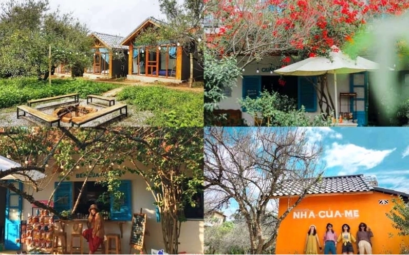 Kiến trúc gỗ độc đáo của The November homestay