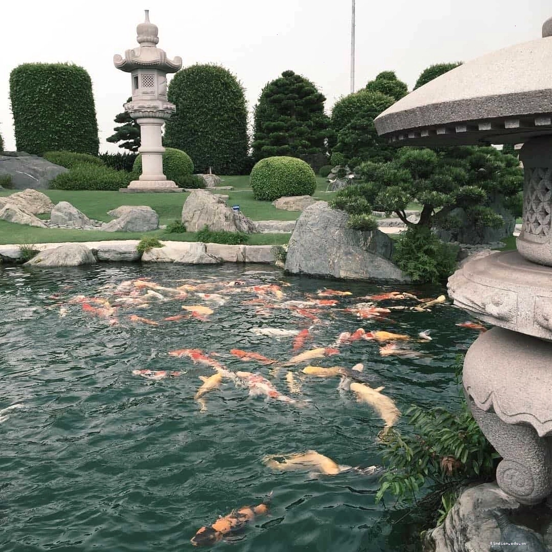 Kiến trúc kiểu Nhật đặc trưng của Công Viên Cá Koi Rin Rin Park