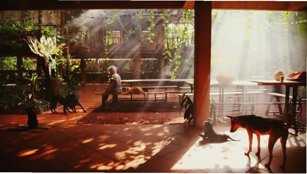 Kiến trúc mộc mạc với tre, nứa và gỗ tại Bà Đất Eco Homestay