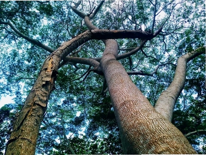 Kiến trúc Pháp cổ còn sót lại tại Suối Tre Đồng Nai
