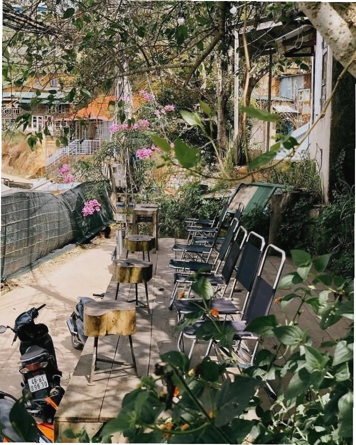Kong Cafe Đà Lạt - ngắm cảnh núi rừng bình yên