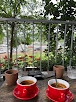 Lado Cafe Ngoại Giao Đoàn Nơi Hội Tụ Không Gian Và Hương Vị