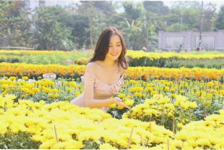 Làng Hoa Bà Bộ - Làng Hoa Đẹp Nhất Cần Thơ