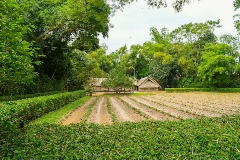 Làng Sen Kim Liên, quê hương Chủ tịch Hồ Chí Minh