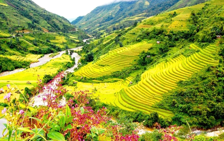 Lao Chai Ta Van Village: Khám phá vẻ đẹp hoang sơ và văn hóa dân tộc thiểu số