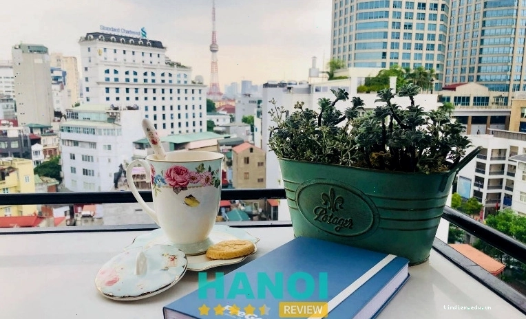 Lofita Tea & Coffee, Hà Nội - Quán cafe với không gian tươi mới và cá koi