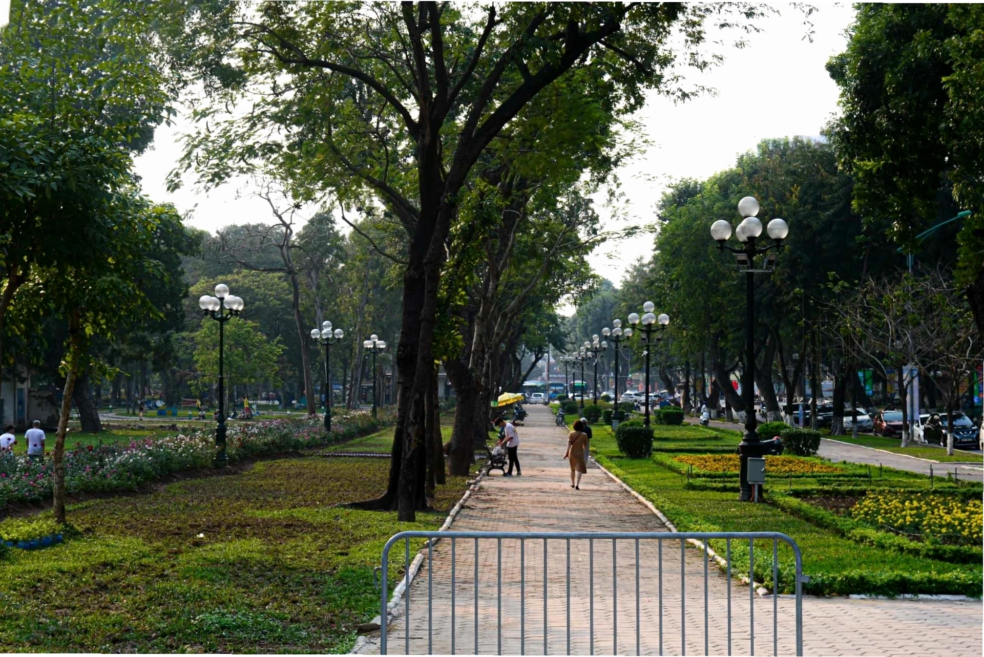 Lối đi bộ rợp bóng cây tại Công viên Thống Nhất