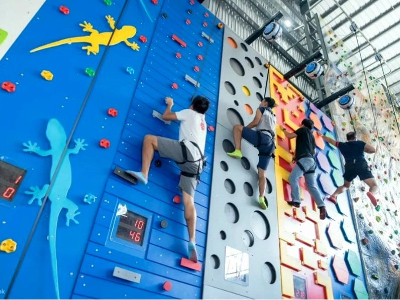 Lối đi bộ rợp bóng cây trong công viên