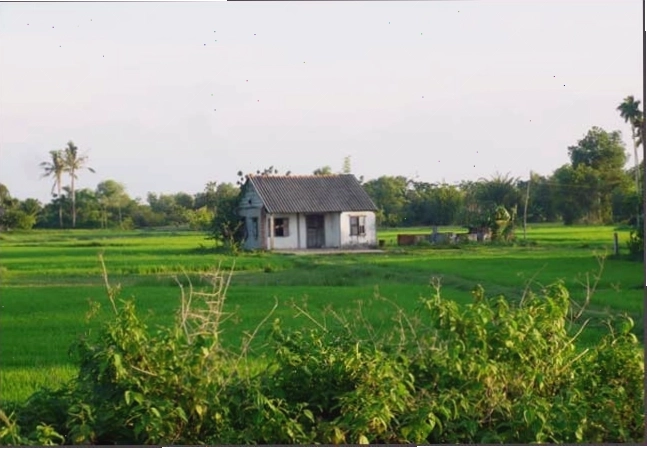 Lối đi dẫn vào Lara Homestay