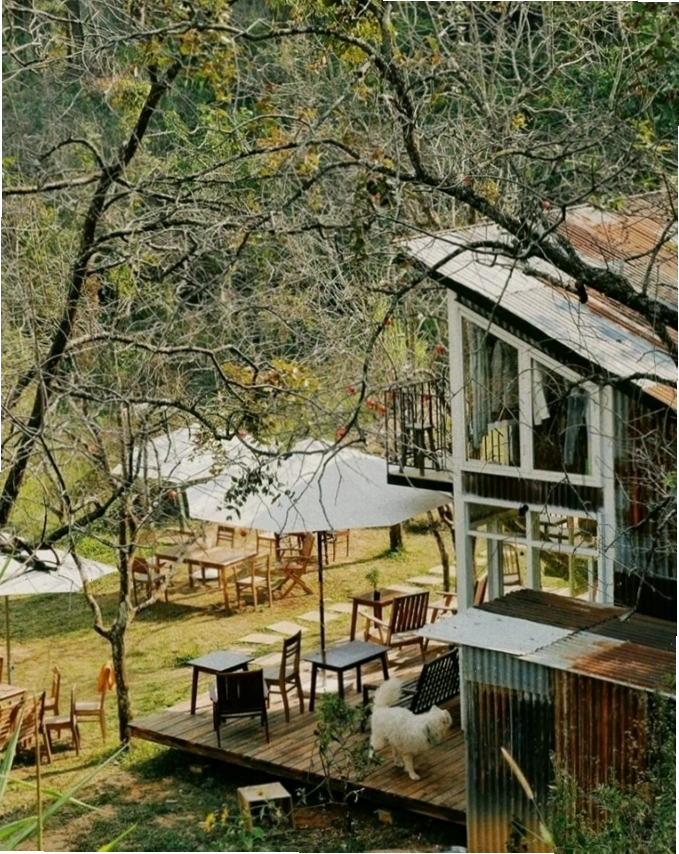 Lối đi mộng mơ tại Đợi Một Người Homestay Đà Lạt