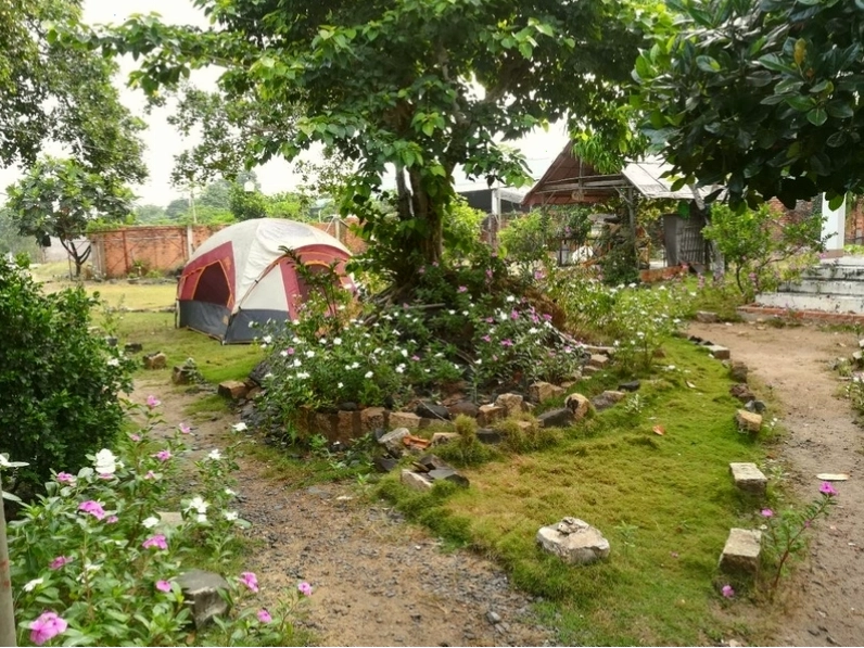 Lối đi xanh mát trong khuôn viên homestay