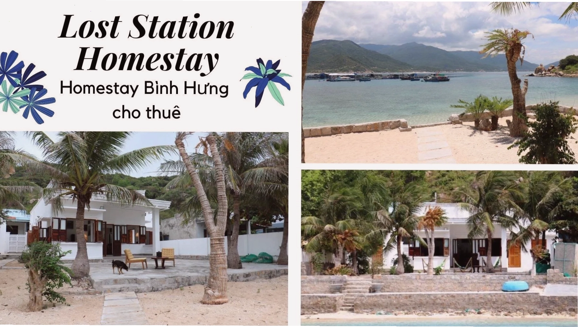 Lost Location - Điểm dừng chân yên tĩnh tại đảo Bình Hưng