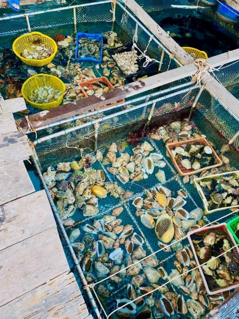 Lựa chọn hải sản tươi ngon tại nhà hàng