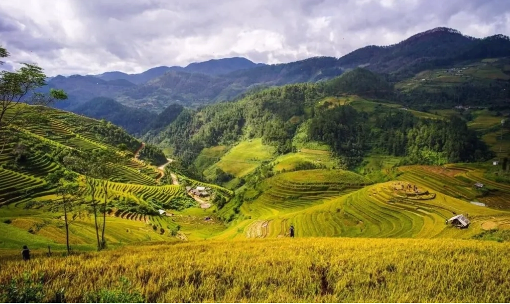 Mai Châu, địa điểm du lịch miền Bắc 2 ngày 1 đêm mang nét thanh bình và yên ả của vùng núi Tây Bắc