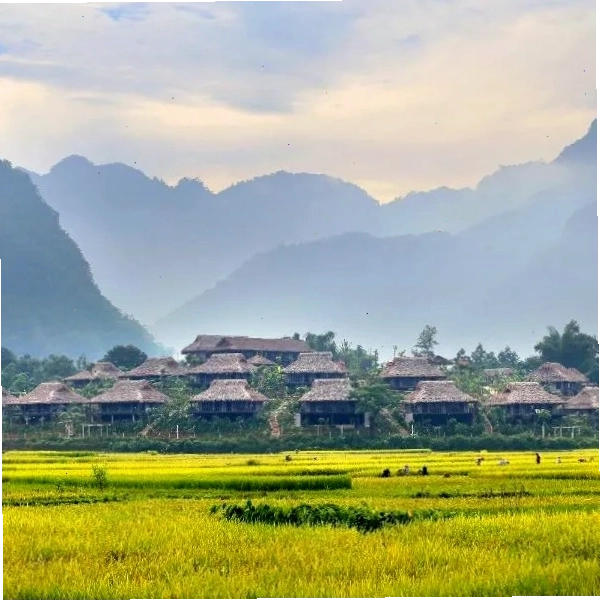 Mai Châu Ecolodge - Trải nghiệm nghỉ dưỡng sinh thái