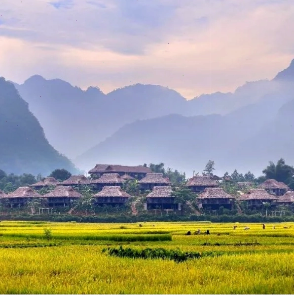 Mai Chau Ecolodge với khung cảnh thiên nhiên thơ mộng