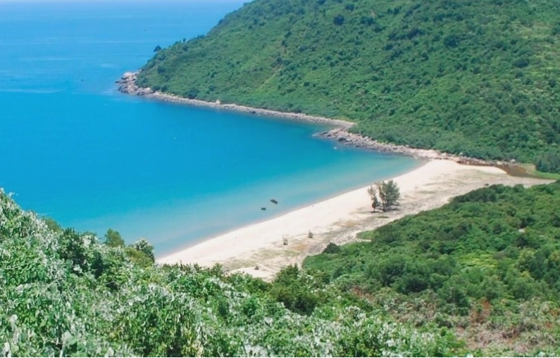 Màu nước xanh chuối đặc trưng của Bãi Chuối, Bình Hưng