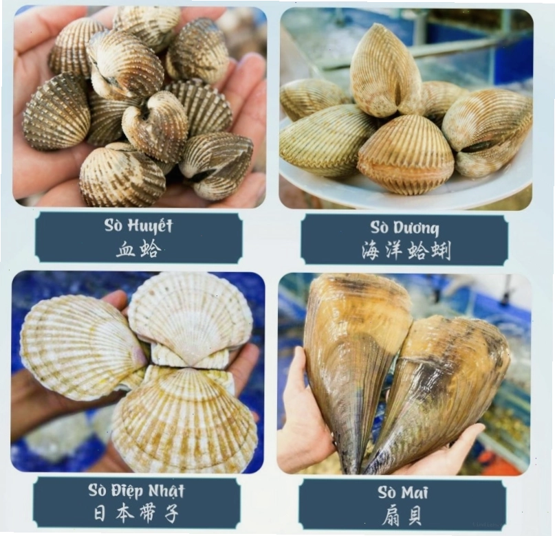 Menu các món sò hấp dẫn tại Nhà hàng Biển Dương 6