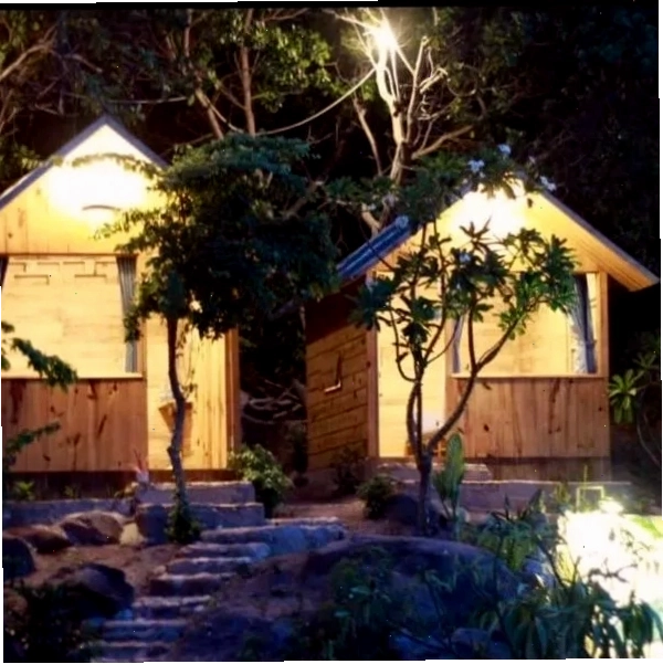 Mèo Home - Bụi Homestay Cam Ranh, điểm dừng chân lý tưởng