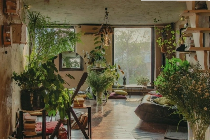 Mơ đi Hội có một vườn cây nhỏ và rất xinh