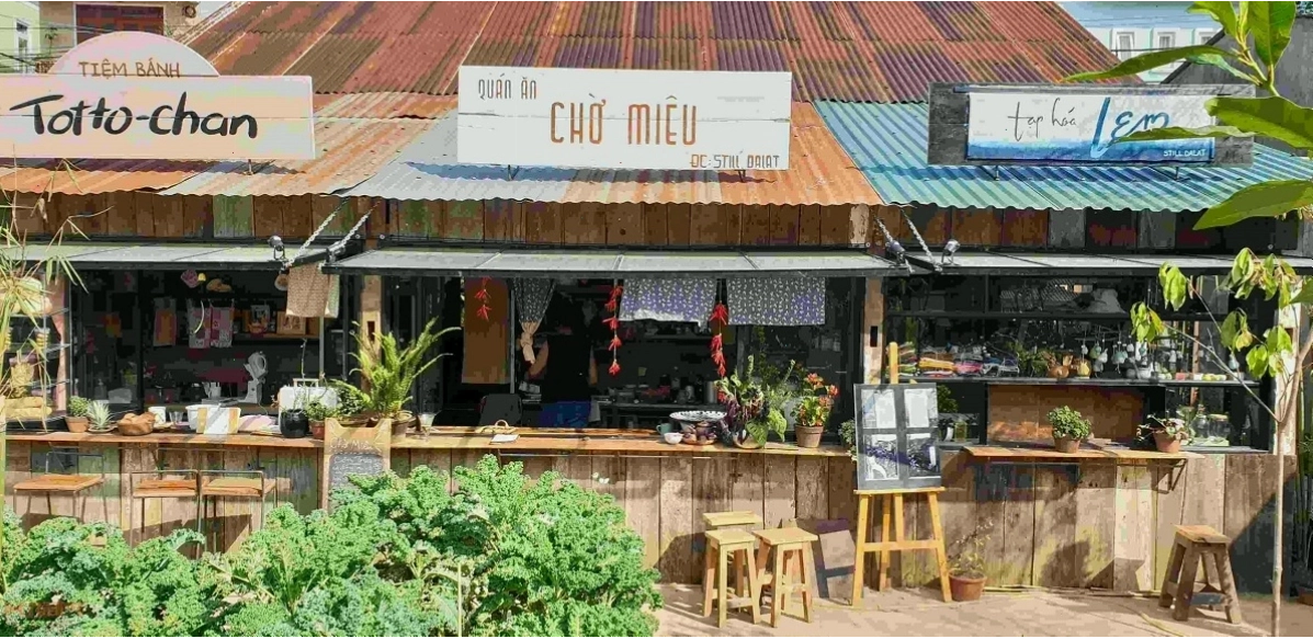 Một chú mèo đang nằm nghỉ trên ghế tại Still Cafe Đà Lạt