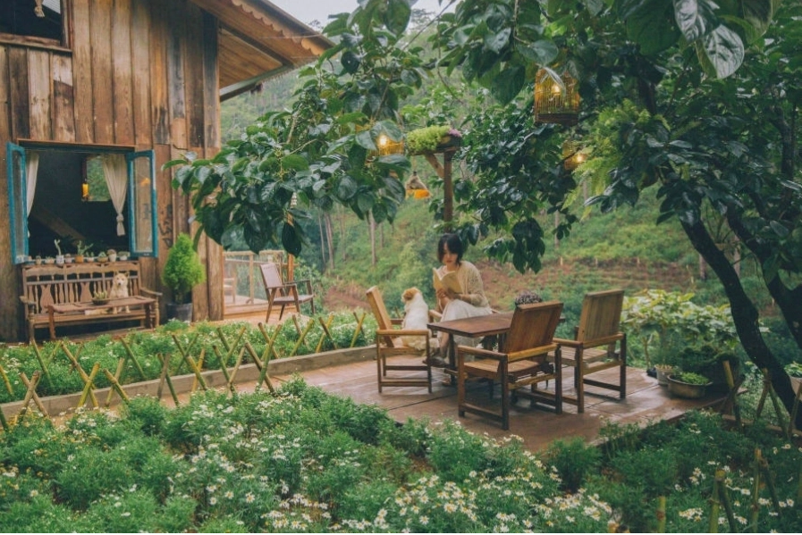Một góc khác của Lưng Chừng Cafe Đà Lạt, thể hiện sự yên bình và gần gũi thiên nhiên
