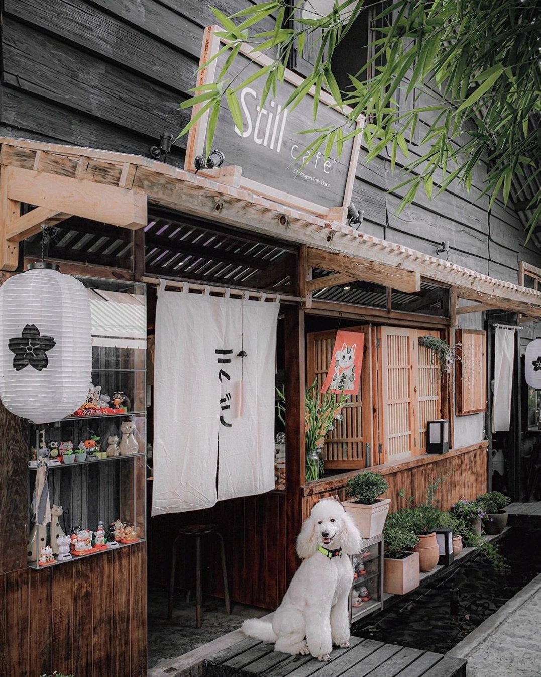 Một góc nhìn khác về không gian xanh mướt của Still Cafe