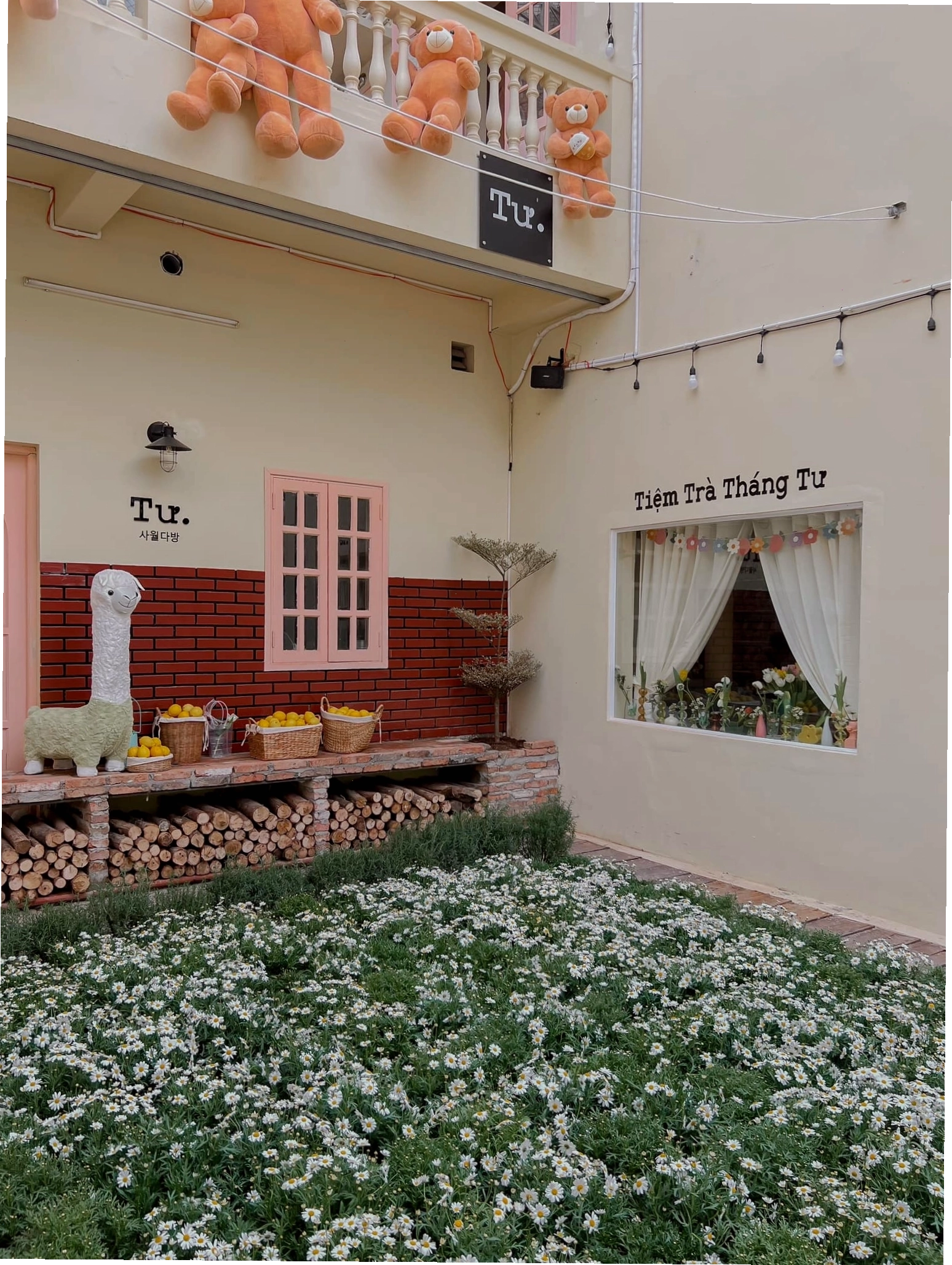 Một quán cafe ở quận 10 với phong cách trang trí độc đáo