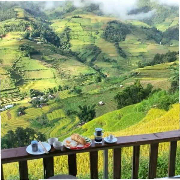 Mu Cang Chai Big View Homestay nhìn ra ruộng bậc thang mùa lúa chín