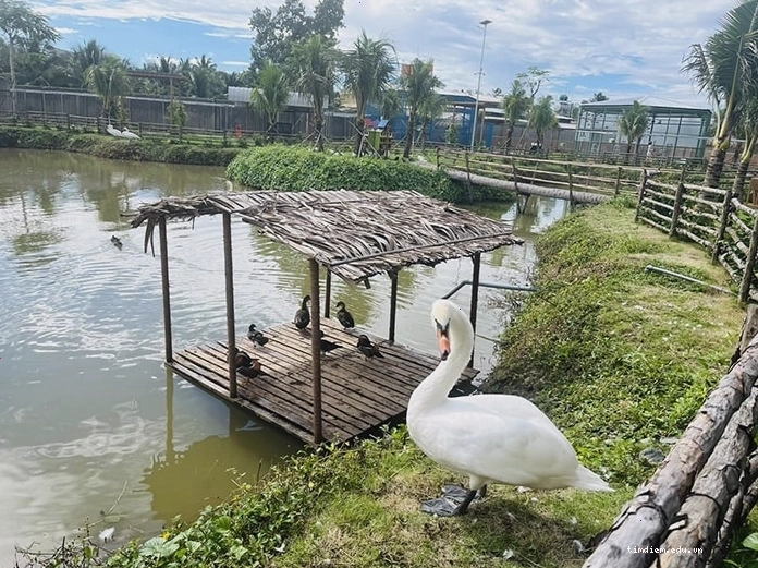 Ngắm nhìn các loài động vật tại vườn thú TTC Mekong Aqua Park