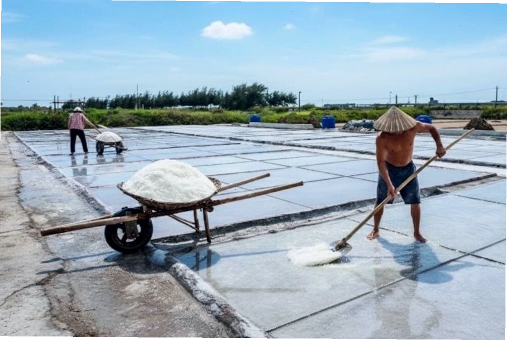 Nghề làm muối truyền thống tại Quất Lâm