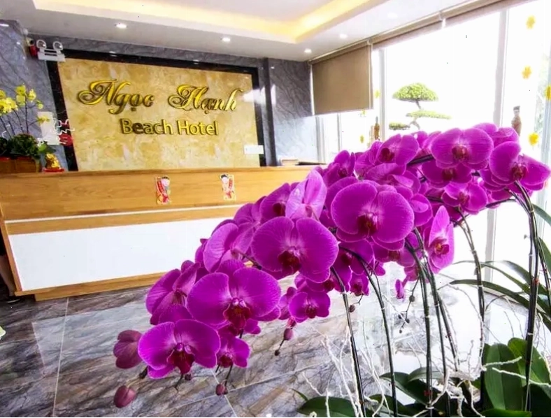 Ngọc Hạnh Hotel với vị trí gần biển, thuận tiện di chuyển