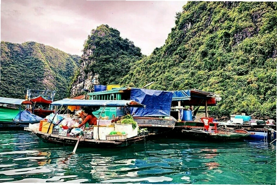 Người dân địa phương chèo thuyền thúng quanh khu vực làng chài